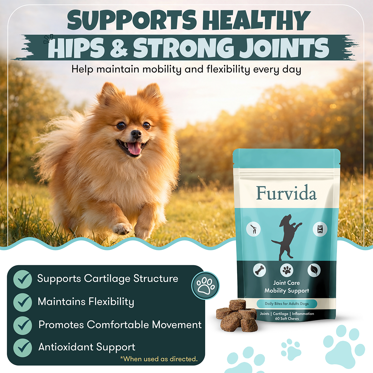 joint care adult dogs daily chews