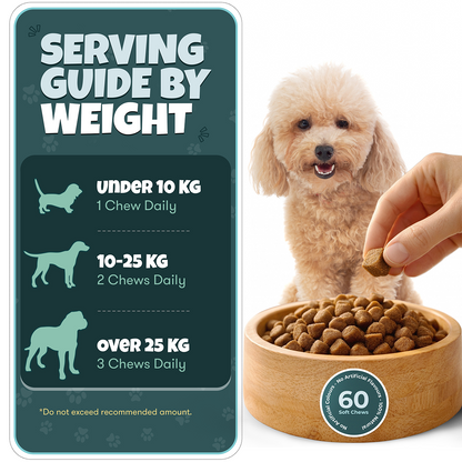 Joint Care Adult Dogs Daily Chews
